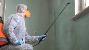 Professional Mold Removal Services in Cottondale, AL